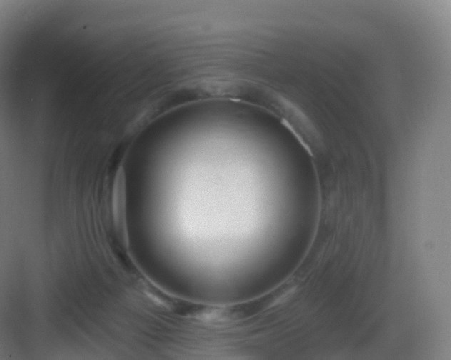 X0000083020121200702091327
