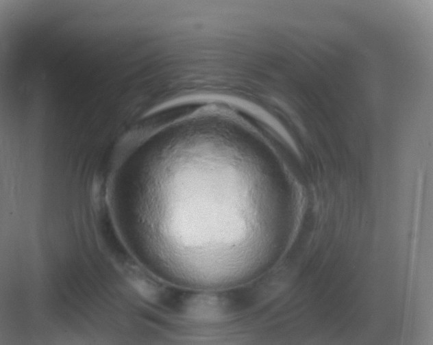 X0000083020123200702091327