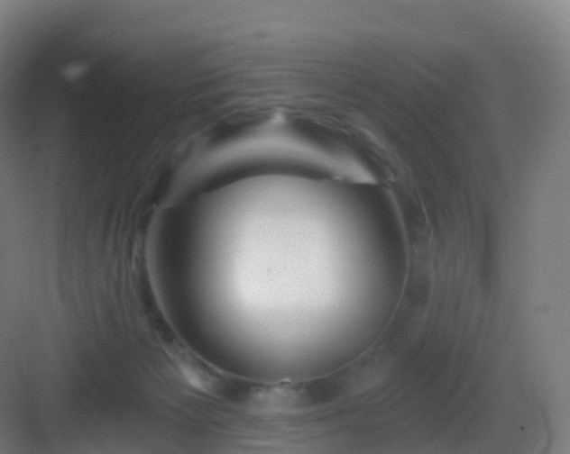 X0000083020125200702091327
