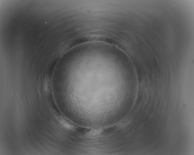 X0000083020138200702091327