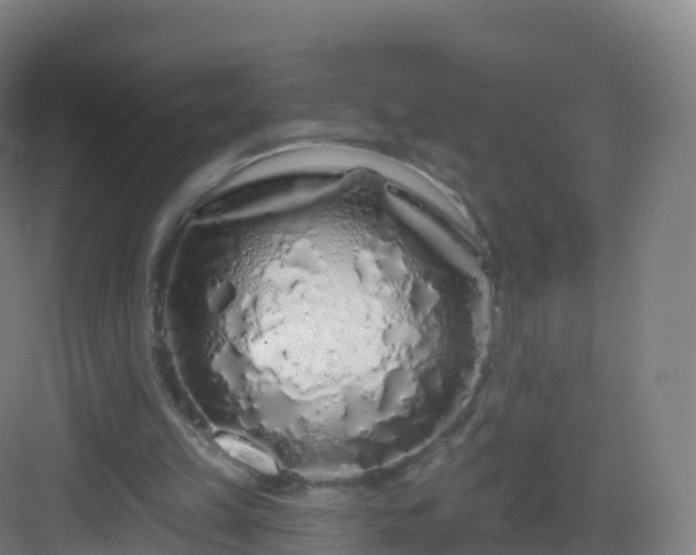 X0000083020149200702091326