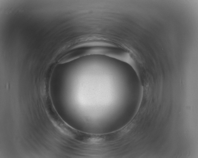 X0000083020158200702091326