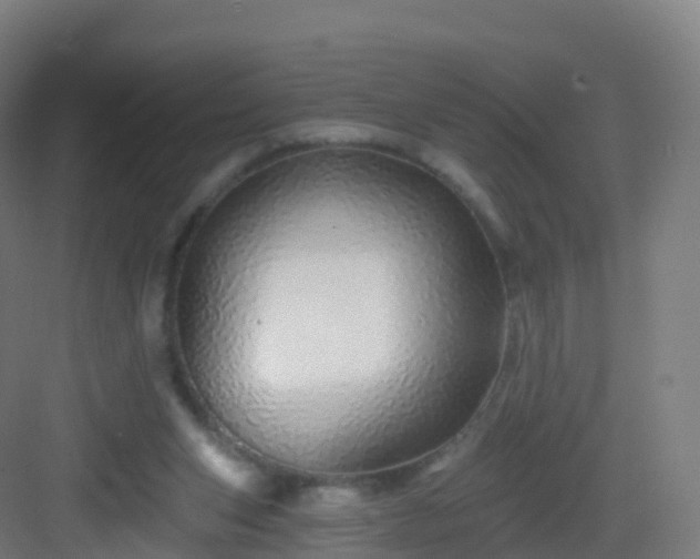 X0000083020159200702091326