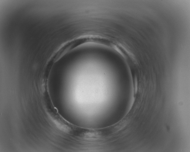 X0000083020160200702091326