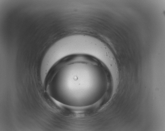 X0000083020162200702091326