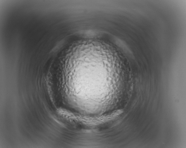 X0000083020165200702091326