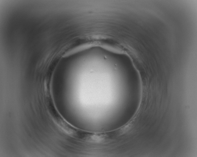 X0000083020166200702091326