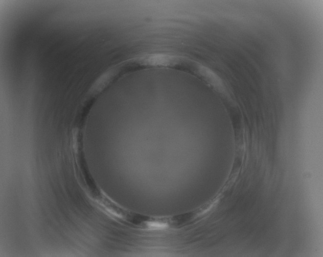 X0000083020167200702091326