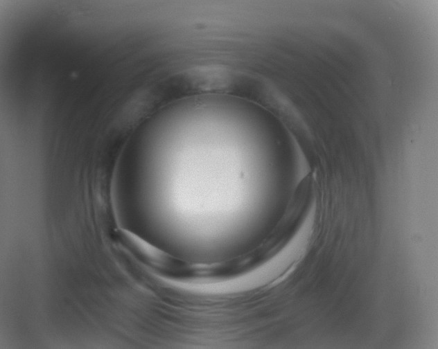 X0000083020170200702091326
