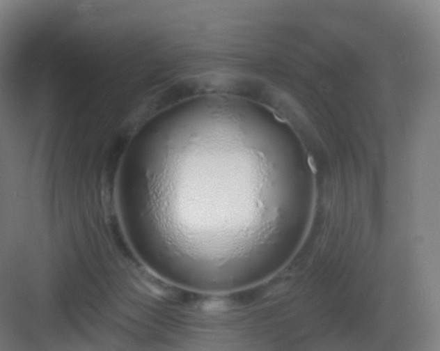 X0000083020173200702091326