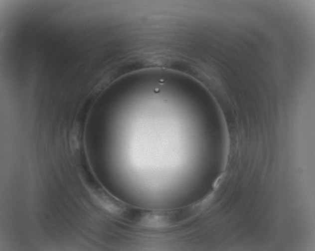 X0000083020174200702091326