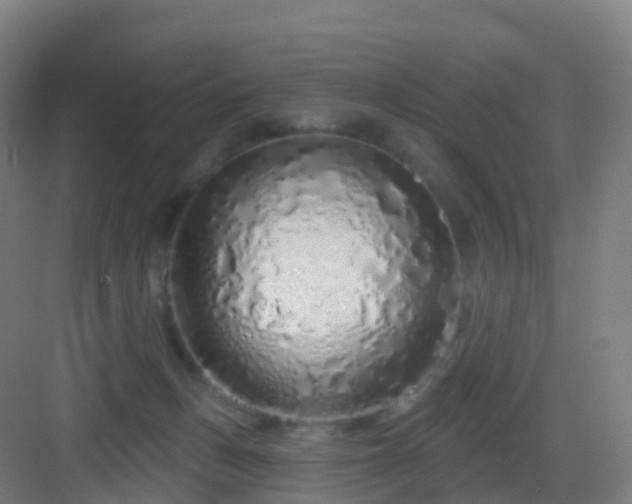 X0000083020175200702091326