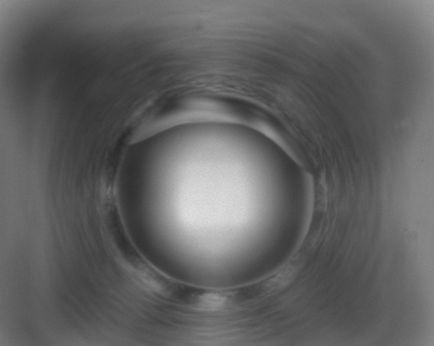 X0000083020176200702091326