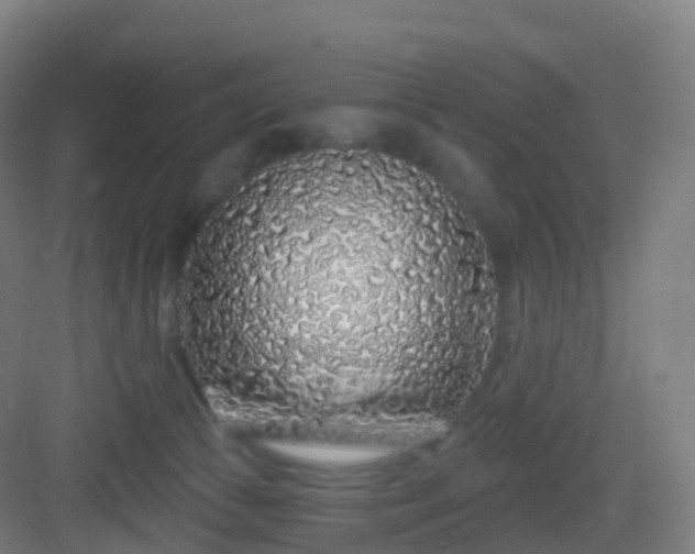X0000083020177200702091326