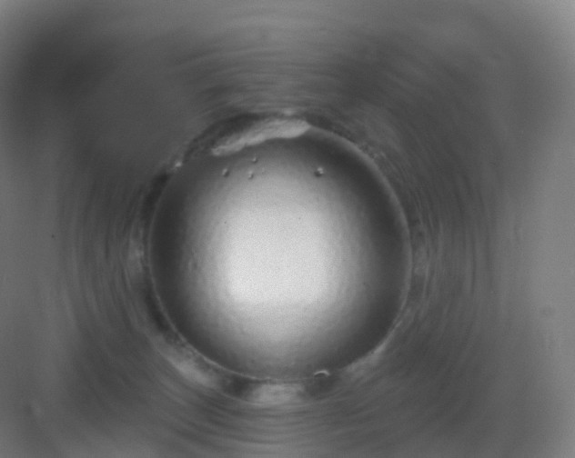 X0000083020179200702091326