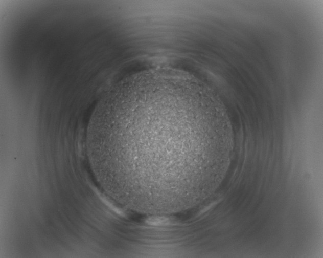 X0000083020181200702091326