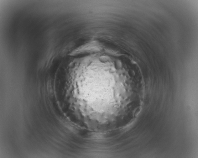 X0000083020182200702091326