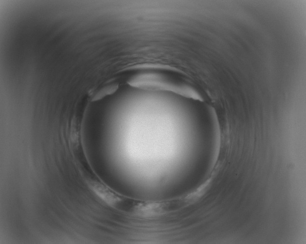 X0000083020186200702091326