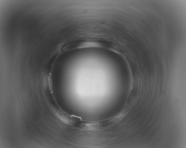 X0000083020188200702091326