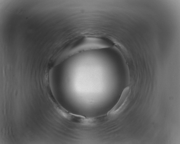 X0000083020192200702091327