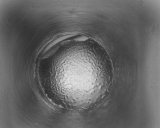 X0000083020194200702091326