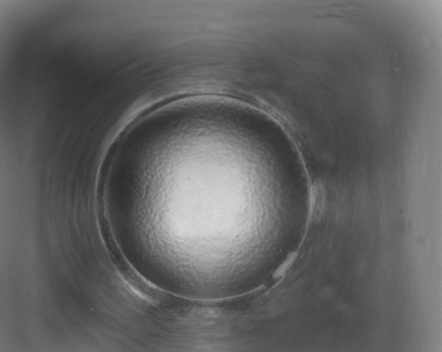 X0000083020195200702091326
