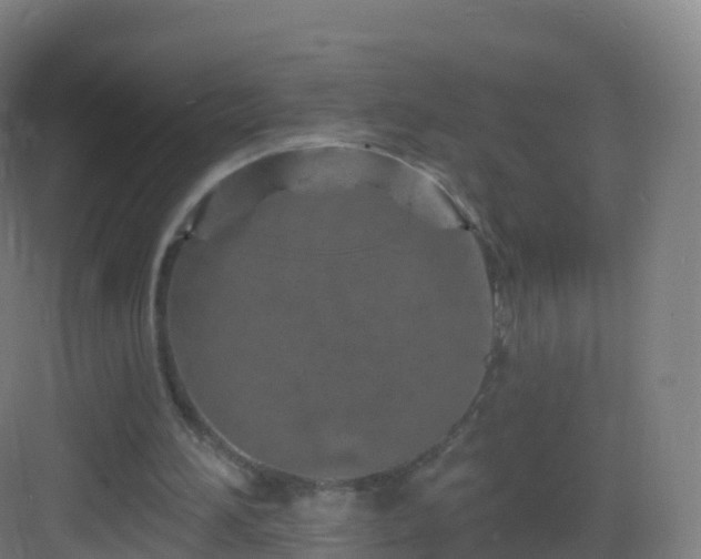 X0000083020196200702091326