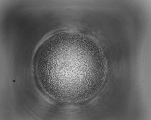 X0000083020198200702091326