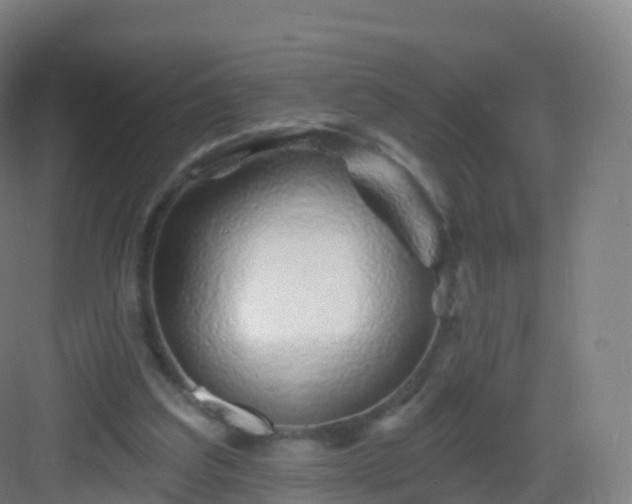 X0000083020203200702091326