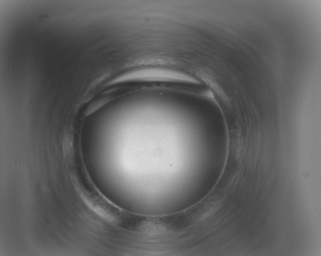 X0000083020207200702091325