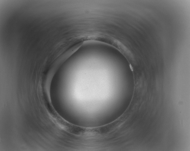 X0000083020209200702091325