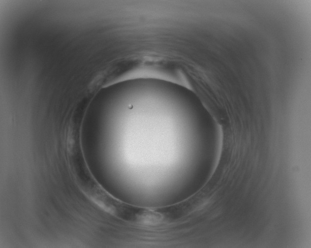 X0000083020215200702091325