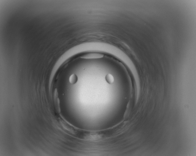 X0000083020217200702091325