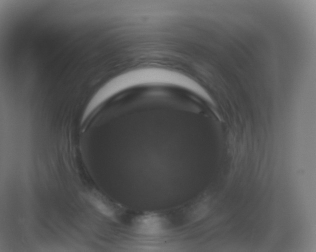 X0000083020219200702091325