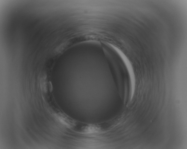 X0000083020223200702091325