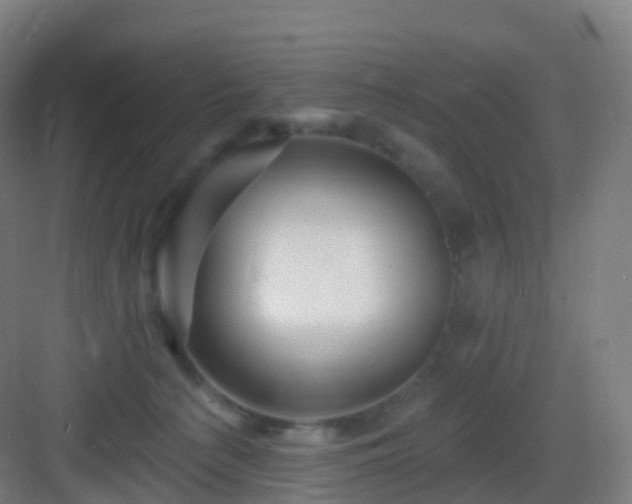 X0000083020225200702091325