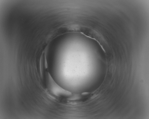 X0000083020229200702091325