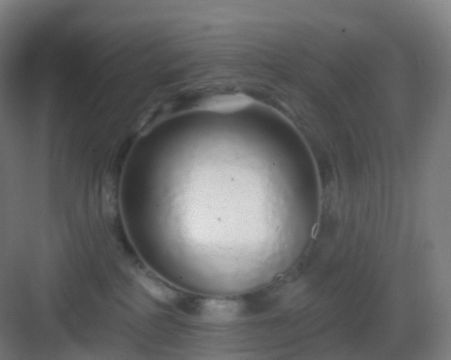 X0000083020234200702091325