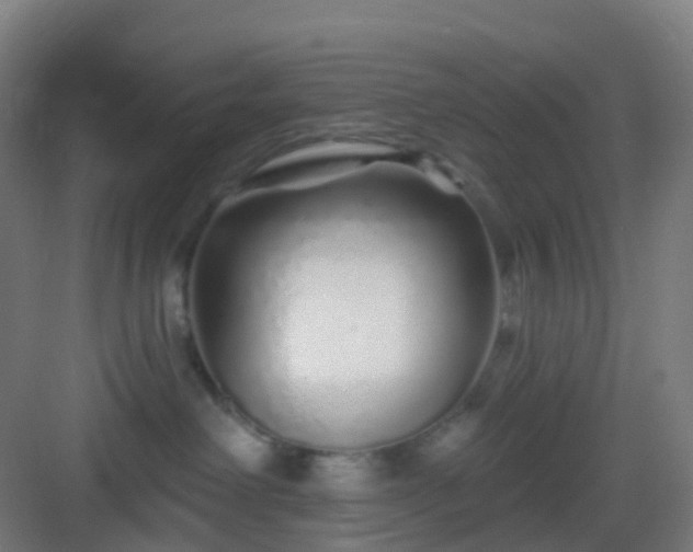 X0000083020238200702091325