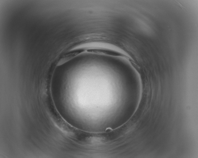 X0000083020255200702091324