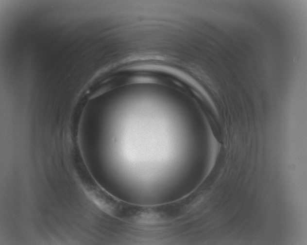 X0000083020256200702091324