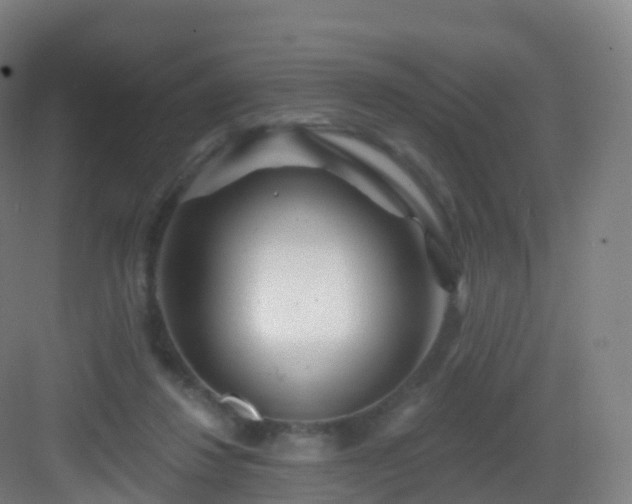 X0000083020260200702091324