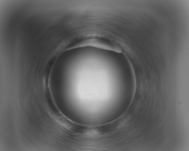 X0000083020262200702091324