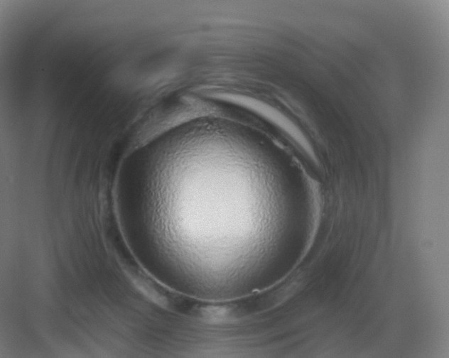 X0000083020265200702091325