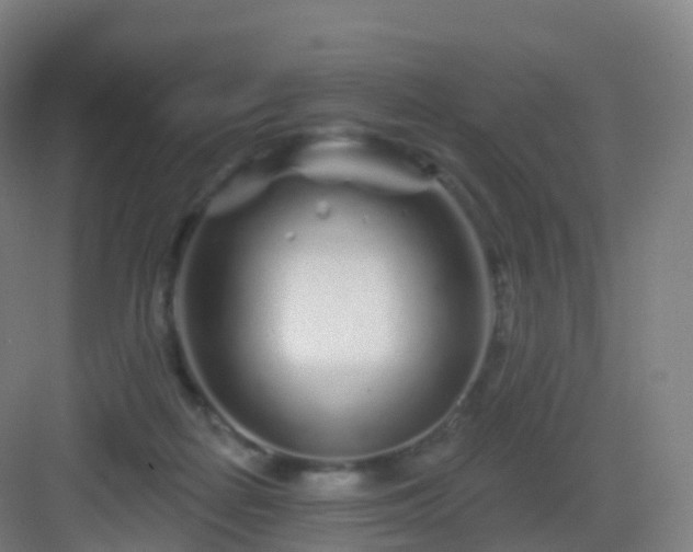 X0000083020266200702091325