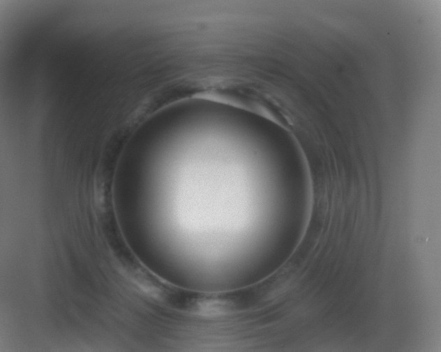X0000083020268200702091325