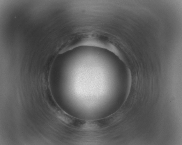 X0000083020270200702091325