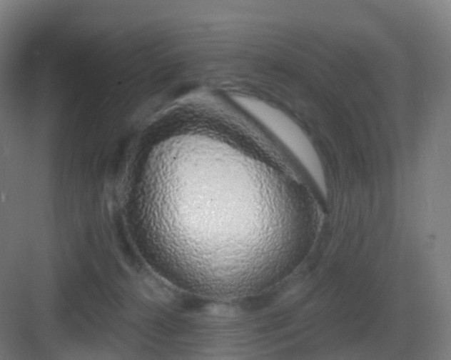 X0000083020272200702091325