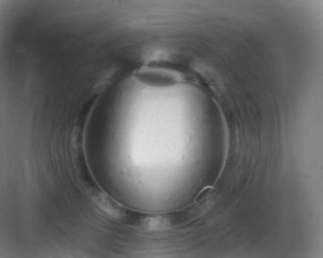 X0000083020275200702091325