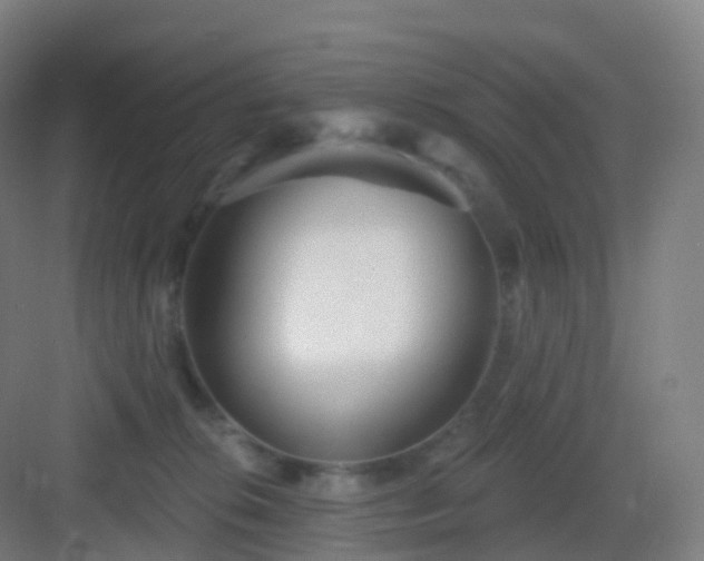 X0000083020276200702091325